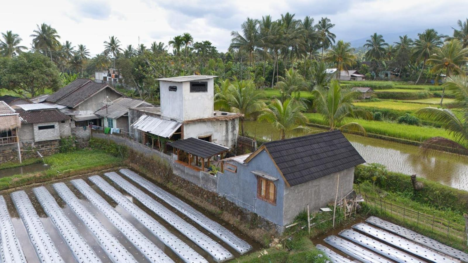 Dira Bungalows Tetebatu Rom bilde